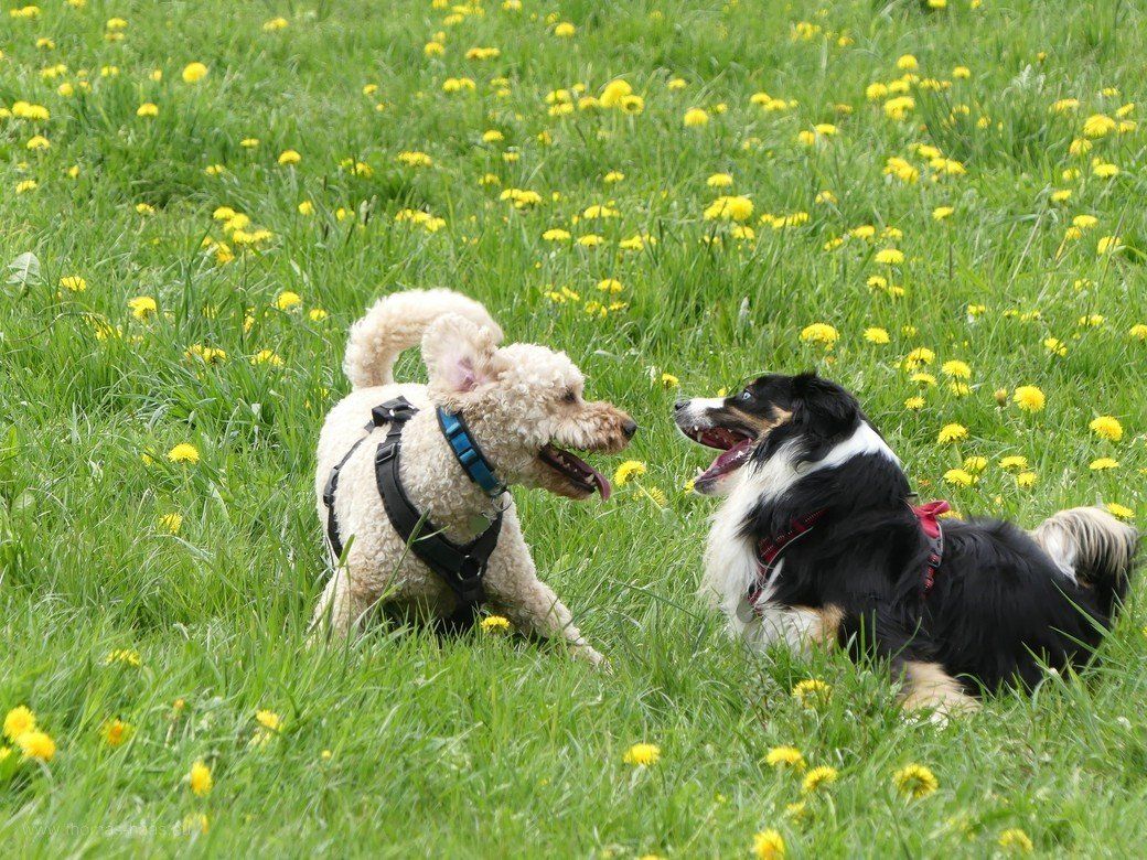 Sammy & Sammy, 2021 Sammy & Sammy, 2021