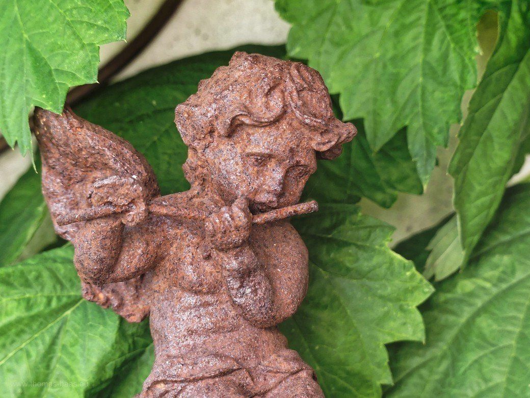 Hopfenengel, 2021 Der Hopfenengel ist wieder da!