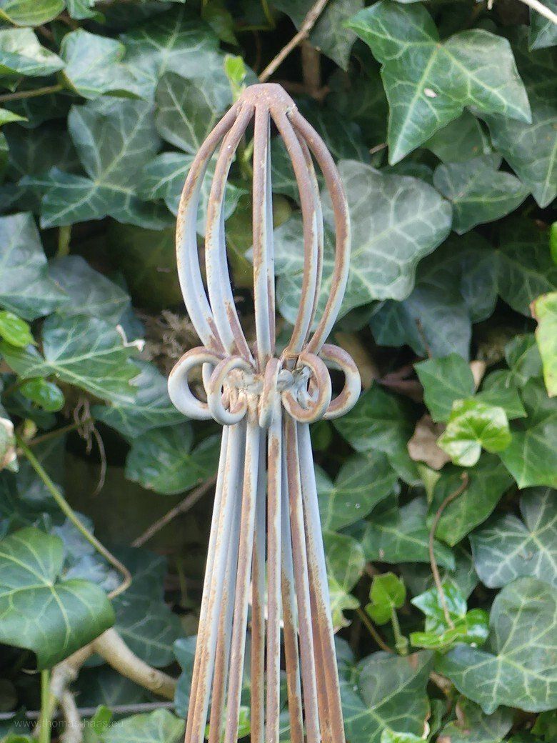 Efeu als Mauerbegrünung... Efeu als Mauerbegrünung...