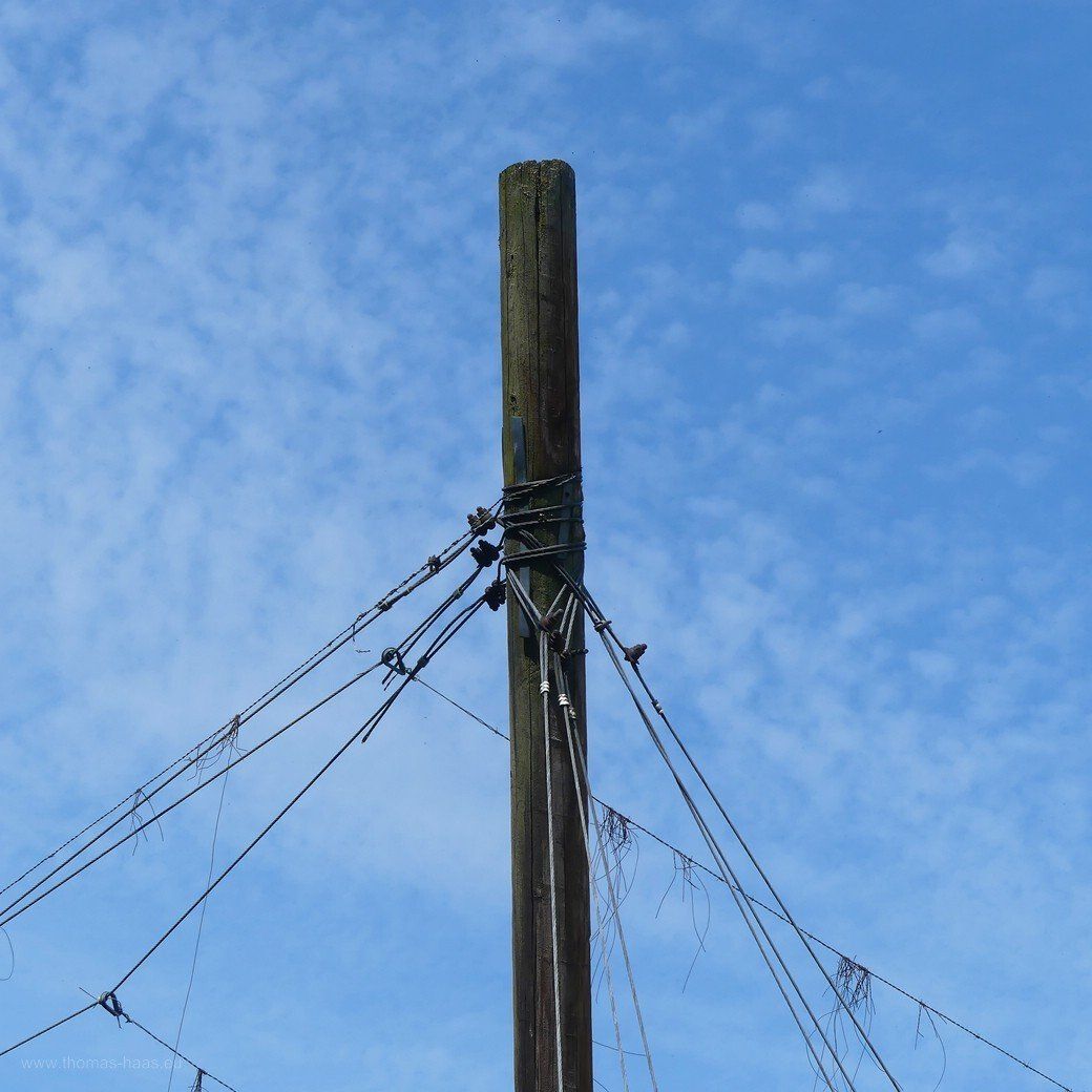 Winterapfel in Bellenberg, Januar 2021 Winterapfel in Bellenberg, Januar 2021