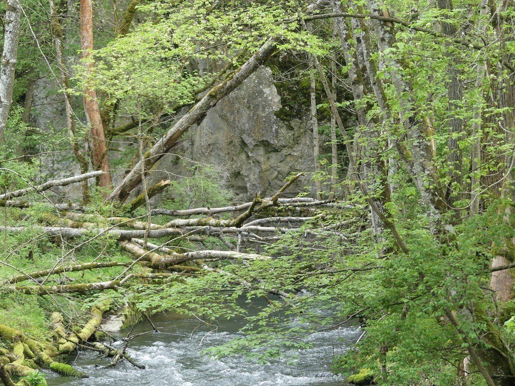 Das Bittelschießer Täle, Frühjahr 2022 Das Bittelschießer Täle, Frühjahr 2022
