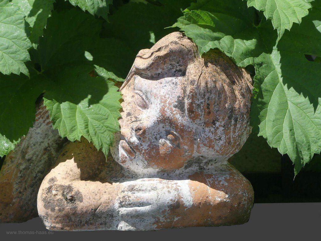 Hopfenengel 2022 Hopfenengel 2022