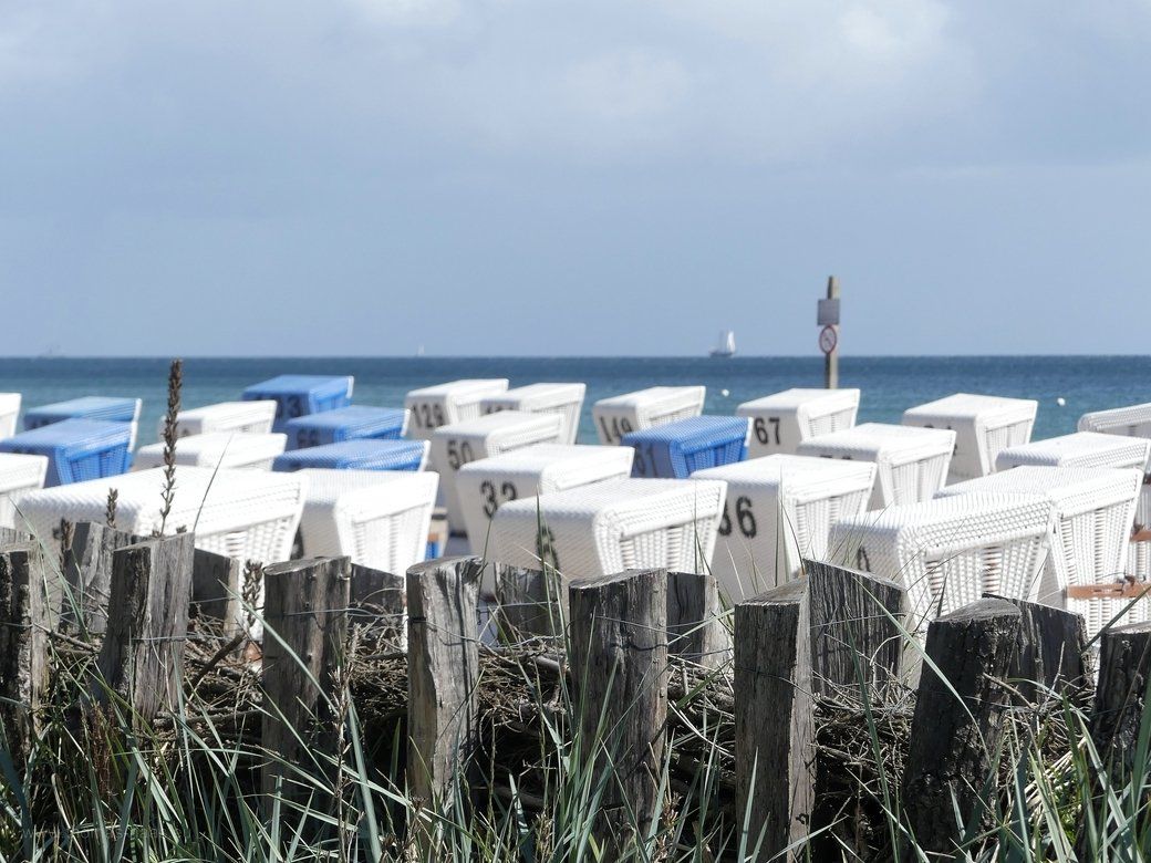 Strandkörbe bis zum Horizont, Damp 2022 Strandkörbe bis zum Horizont, Damp 2022