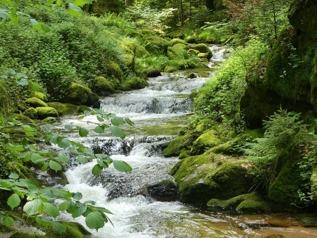 Die Schönwetter-Wanderung am Geroldsauer Wasserfall im Mai 2023 Die Schönwetter-Wanderung am Geroldsauer Wasserfall...