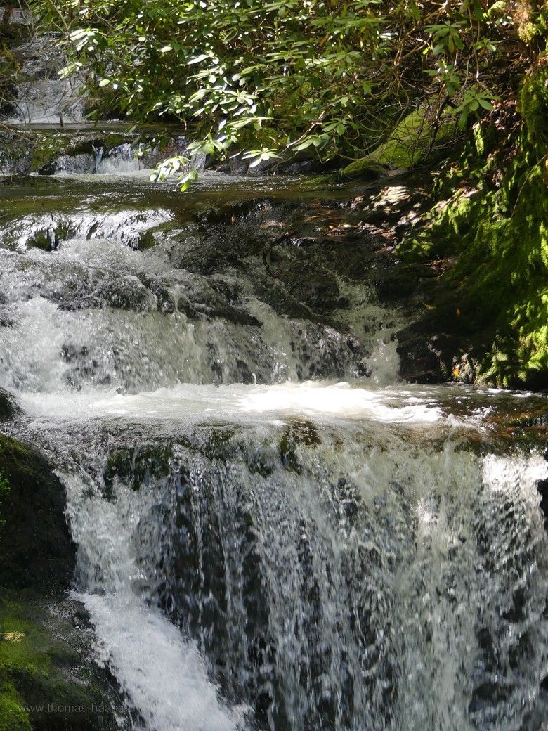 Geroldsauer Wasserfall im Mai 2023