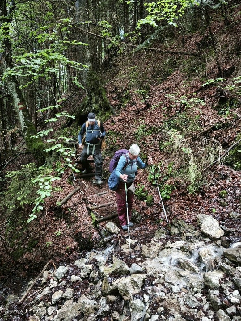 Auf dem roten Wanderweg geht es nach oben - Richtung Brünnsteinhaus, 2025 Auf dem roten Wanderweg geht es nach oben - Richtung Brünnsteinhaus, 2025