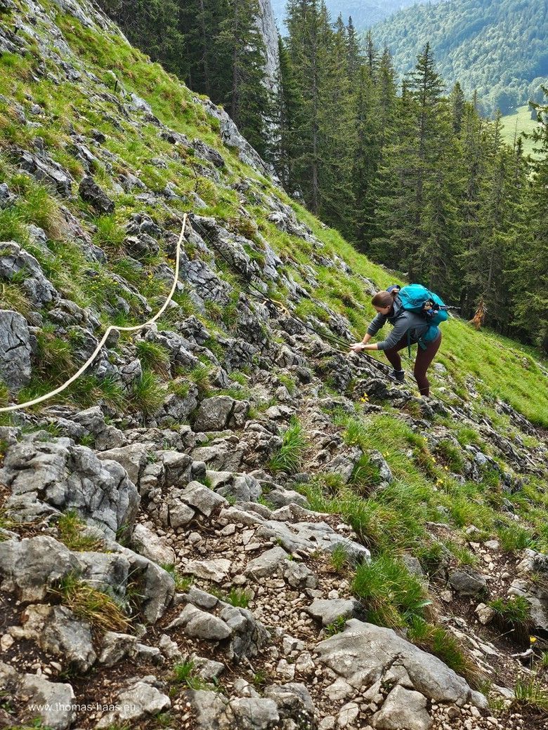 Voller Einsatz am Klettersteig, Brünnstein 2025 Voller Einsatz am Klettersteig, Brünnstein 2025