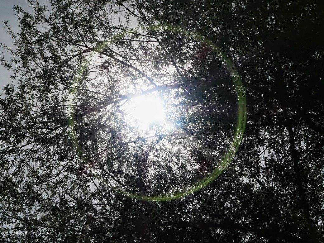 Lens Flare im harten Gegenlicht als Bildmotiv, 2025 Lens Flare im harten Gegenlicht als Bildmotiv, 2025