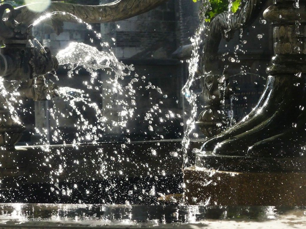 Brunnenfontäne in Gegenlicht... Delphinbrunnen, Ulm, Mai 2025 Brunnenfontäne in Gegenlicht...
Delphinbrunnen, Ulm, Mai 2025