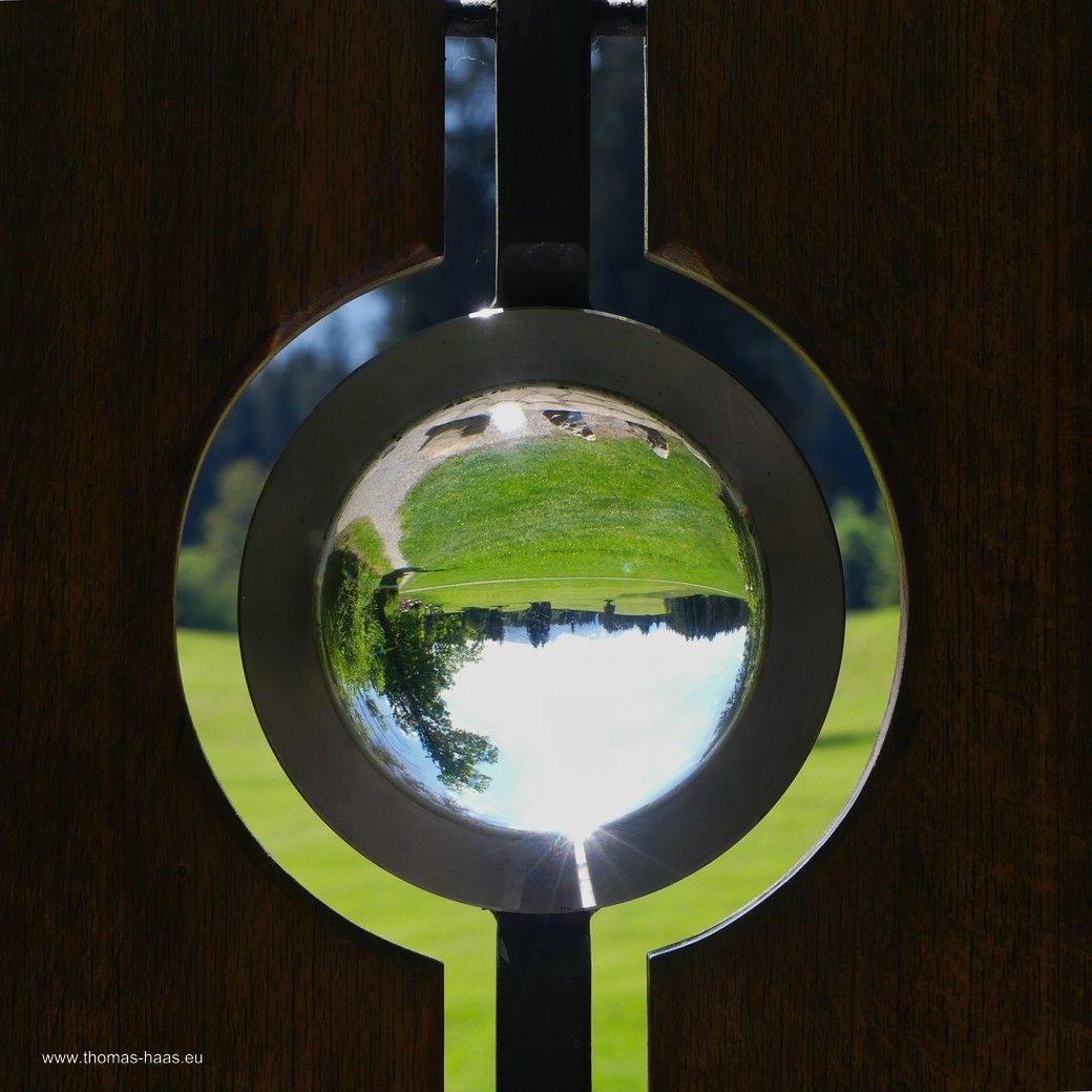 Baumpilz... Baumpilz...