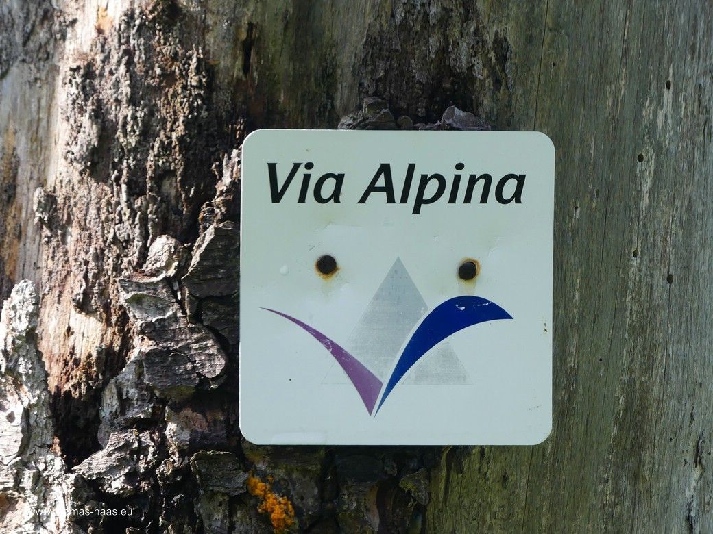 Fernwanderweg, Hinweis „Via Alpina“