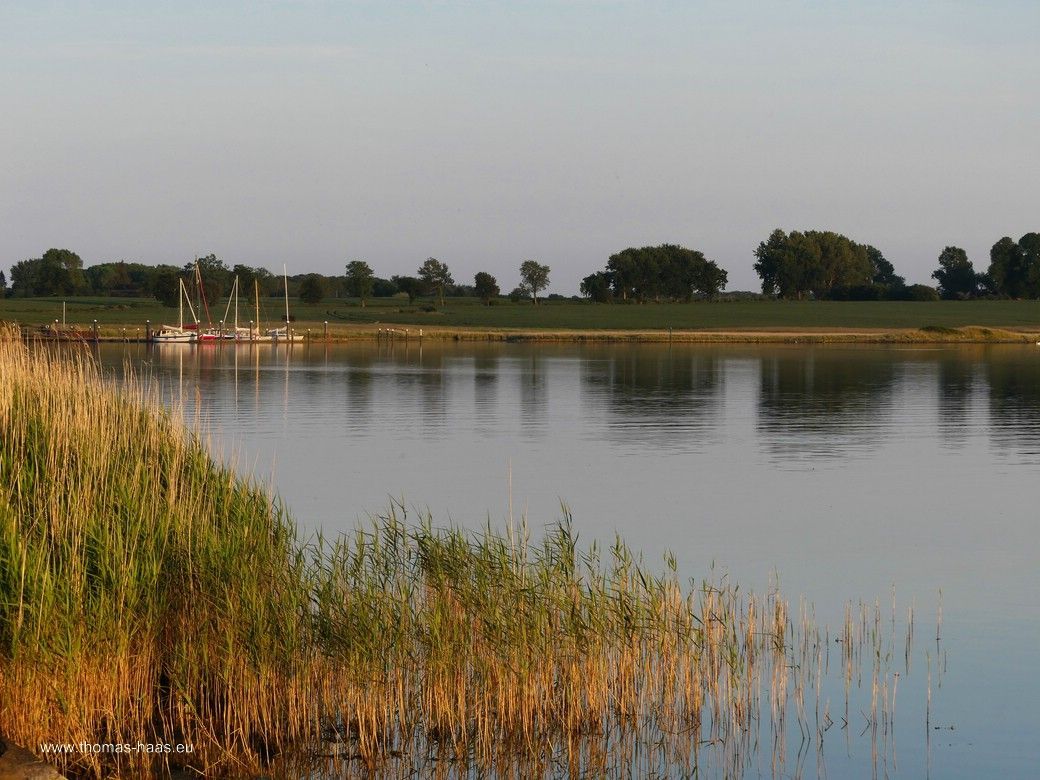 Ein Bildmotiv von der Schlei in der Abendsonne, Juni 2025