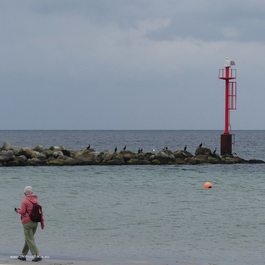 Strandläuferin... Strandläuferin...
