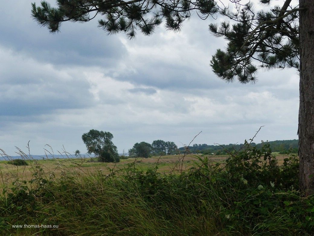Ostsee-Ufer in Damp, Juni 2025 Ostsee-Ufer in Damp, Juni 2025