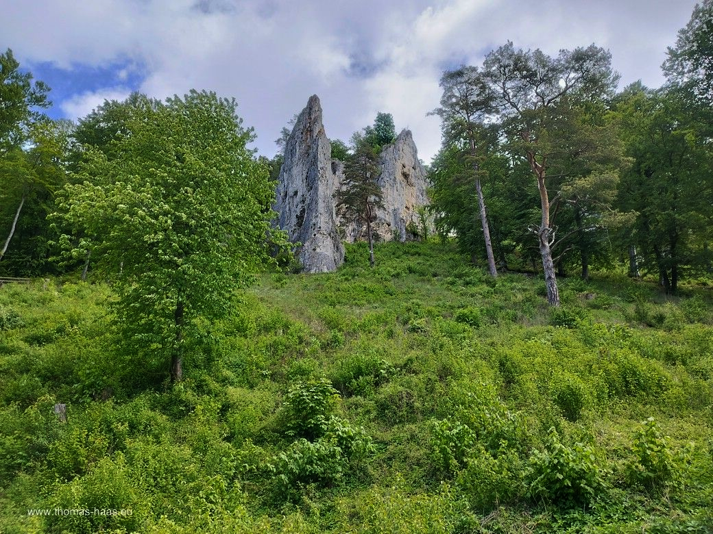 Das Massiv des „Bruckfels“ mit dem derzeit gesperrten „Geißenklösterle“... Das Massiv des „Bruckfels“ mit dem derzeit gesperrten „Geißenklösterle“...