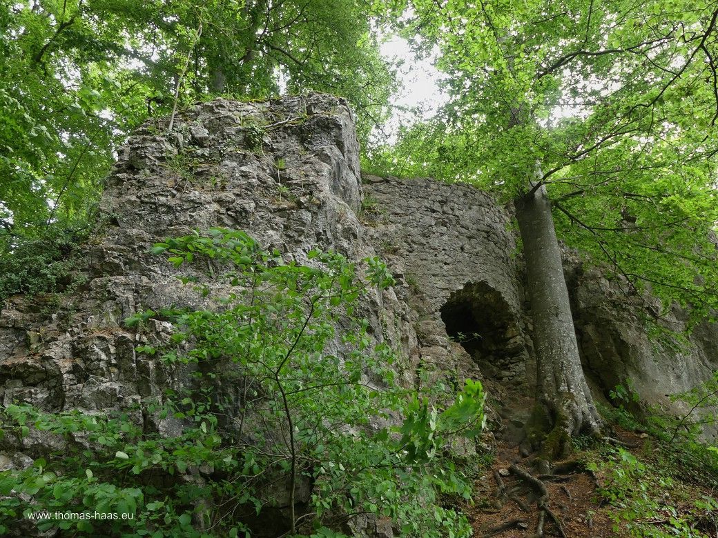 Die Ruine der Günzelburg... Die Ruine der Günzelburg...