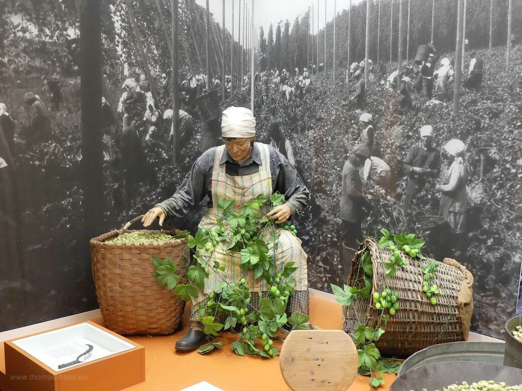 Hopfenpflückerin, Museumsmodell, 2021 Hopfenpflückerin, Museumsmodell, 2021
