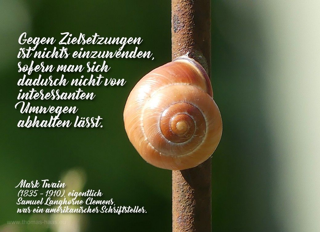 Motivationsbild für den August 2023 - Eine Schnecke auf Abwegen mit einem Zitat von Mark Twain Motivationsbild für den August 2023 - Eine Schnecke auf Abwegen mit einem Zitat von Mark Twain