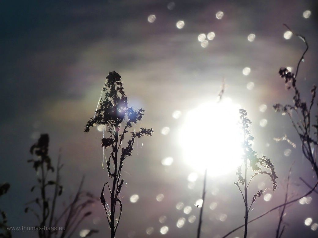 Schon vor 7:00 Uhr spiegelt sich die Sonne in der Iller, Juni 2023 Schon vor 7:00 Uhr spiegelt sich die Sonne in der Iller, Juni 2023
