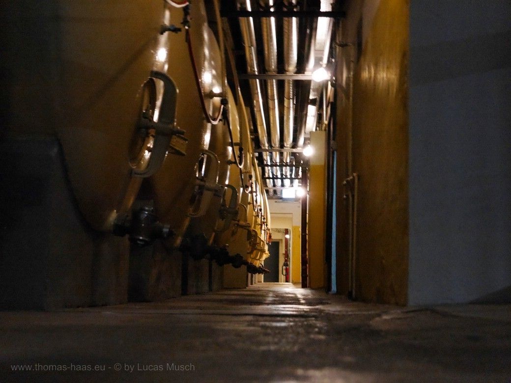 Bier-Lagertanks, alte Brauerei, Maisel Bayreuth, © Lucas Musch, 2023 Lagertanks © by Lucas Musch, 2023