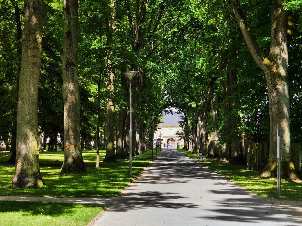 Bayreuth, Hofgarten, Sichtachse, 2023 Bayreuth, Hofgarten, Sichtachse, 2023