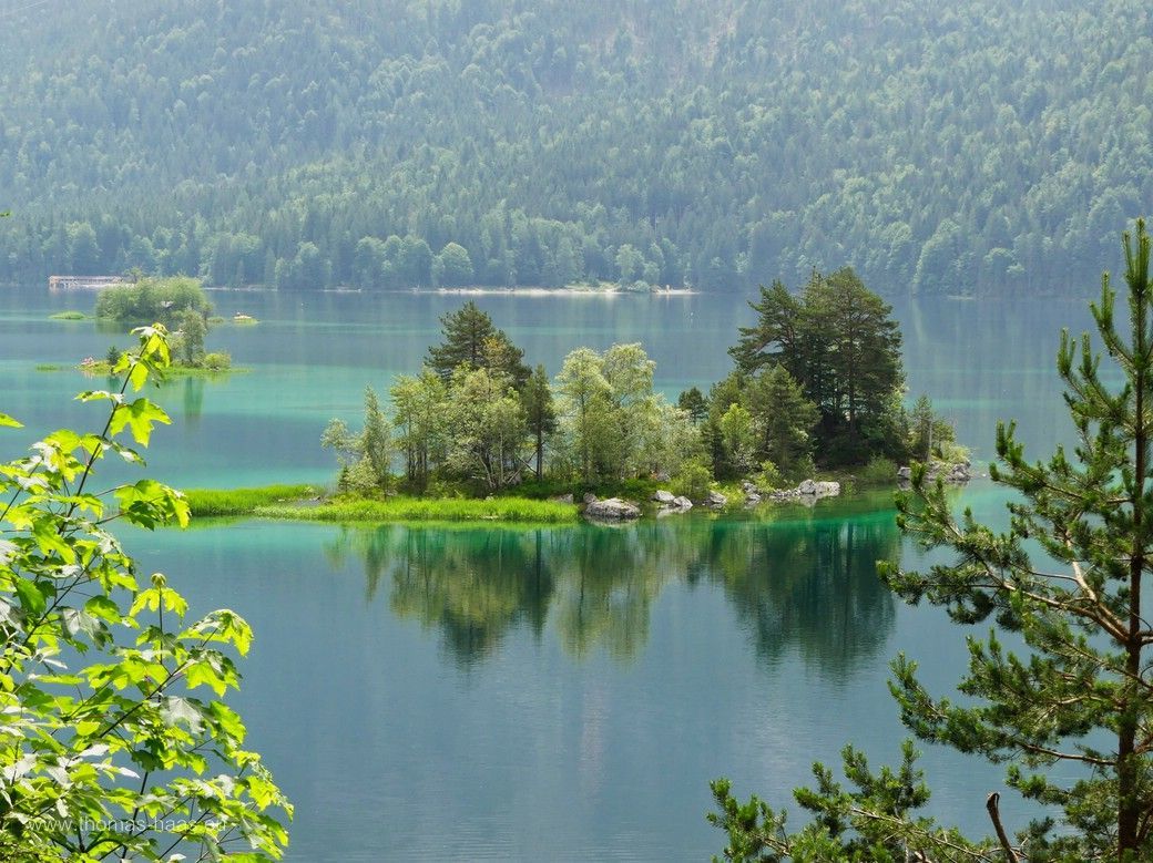 Inselchen im Eibsee, Juni 2024 Inselchen im Eibsee, Juni 2024
