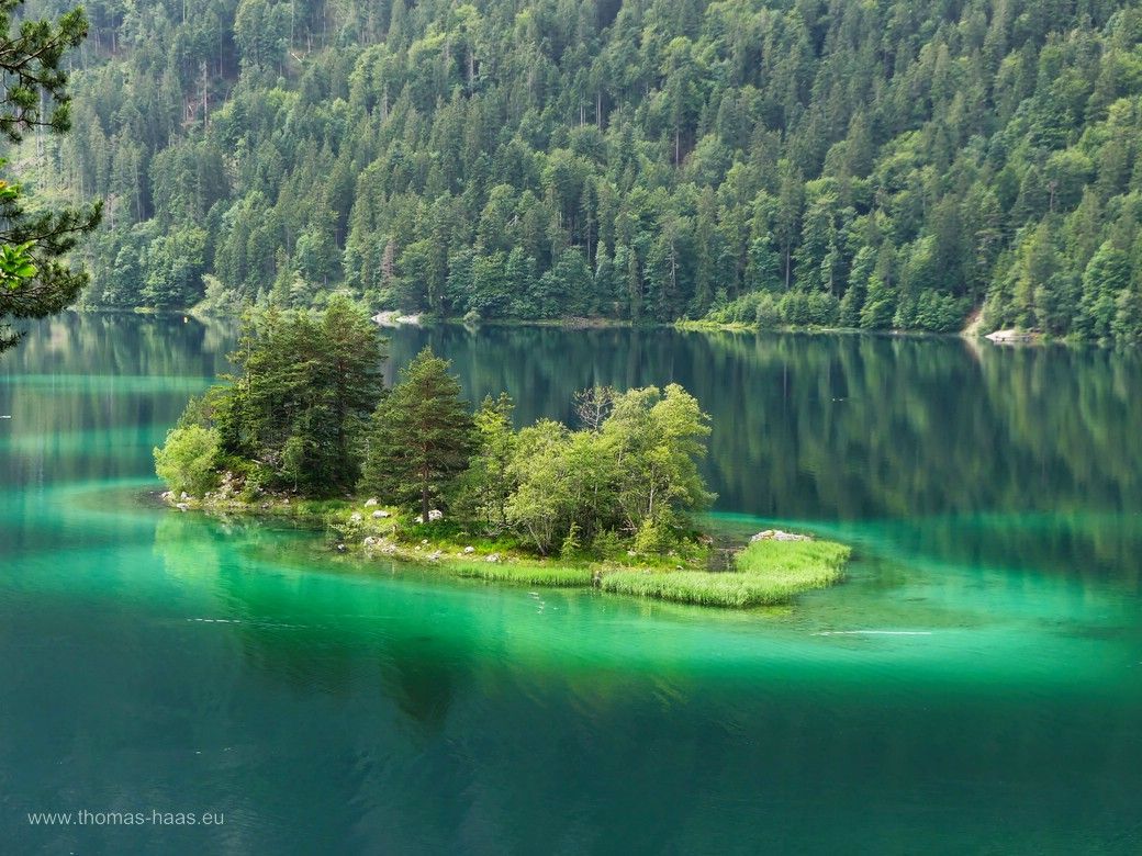 Inselchen im Eibsee, Juni 2024 Inselchen im Eibsee, Juni 2024