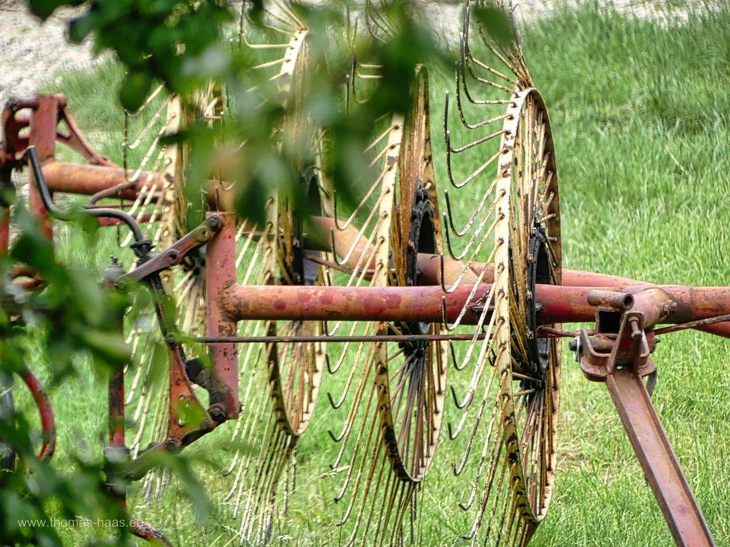 Heuwender Bautz „Spinne“