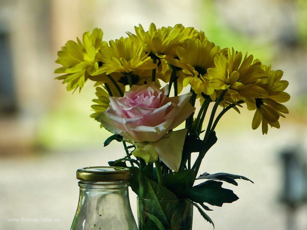 Auch das Blümchen darf nicht fehlen... Tischdeko, Gondelfrühstück, Bichlbach, Juni 20 Auch das Blümchen darf nicht fehlen...
Tischdeko, Gondelfrühstück, Bichlbach, Juni 2024