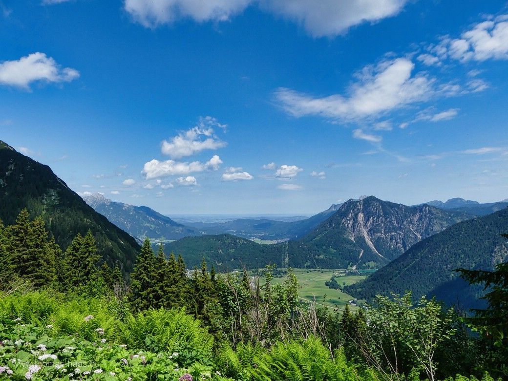 Alpiner Moment: Auf dem Weg zum Alpkopf, Juni 2024