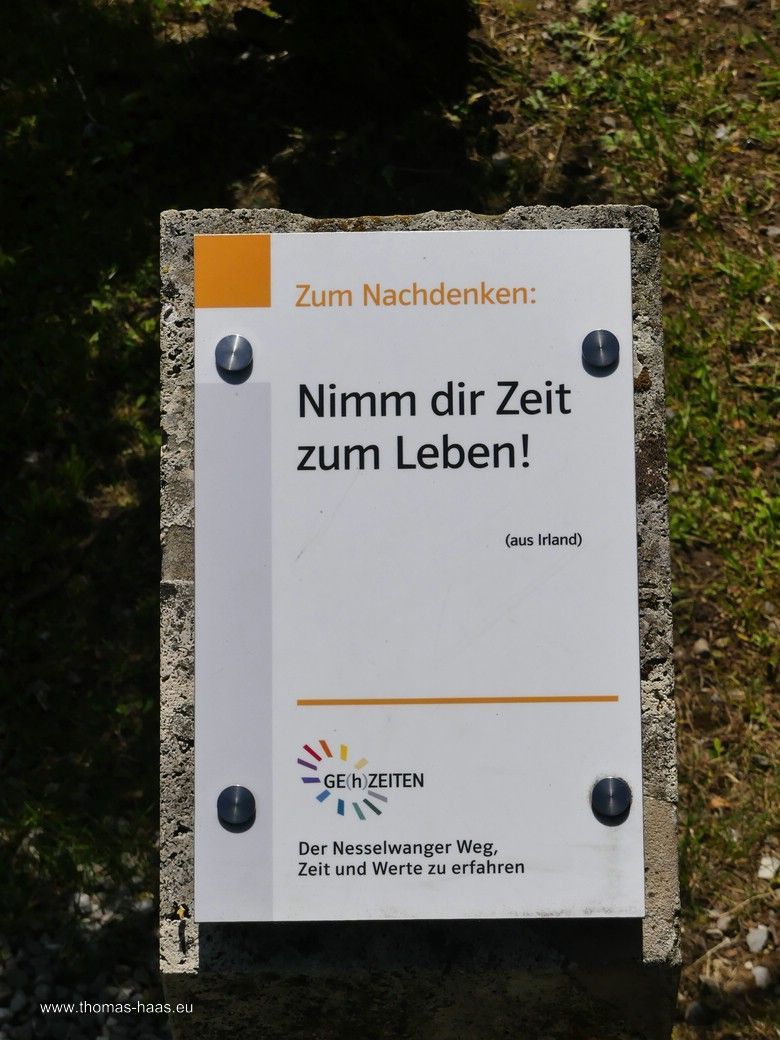 GE(h)ZEITEN - die Baumscheibe, Station 6 GE(h)ZEITEN - die Baumscheibe, Station 6