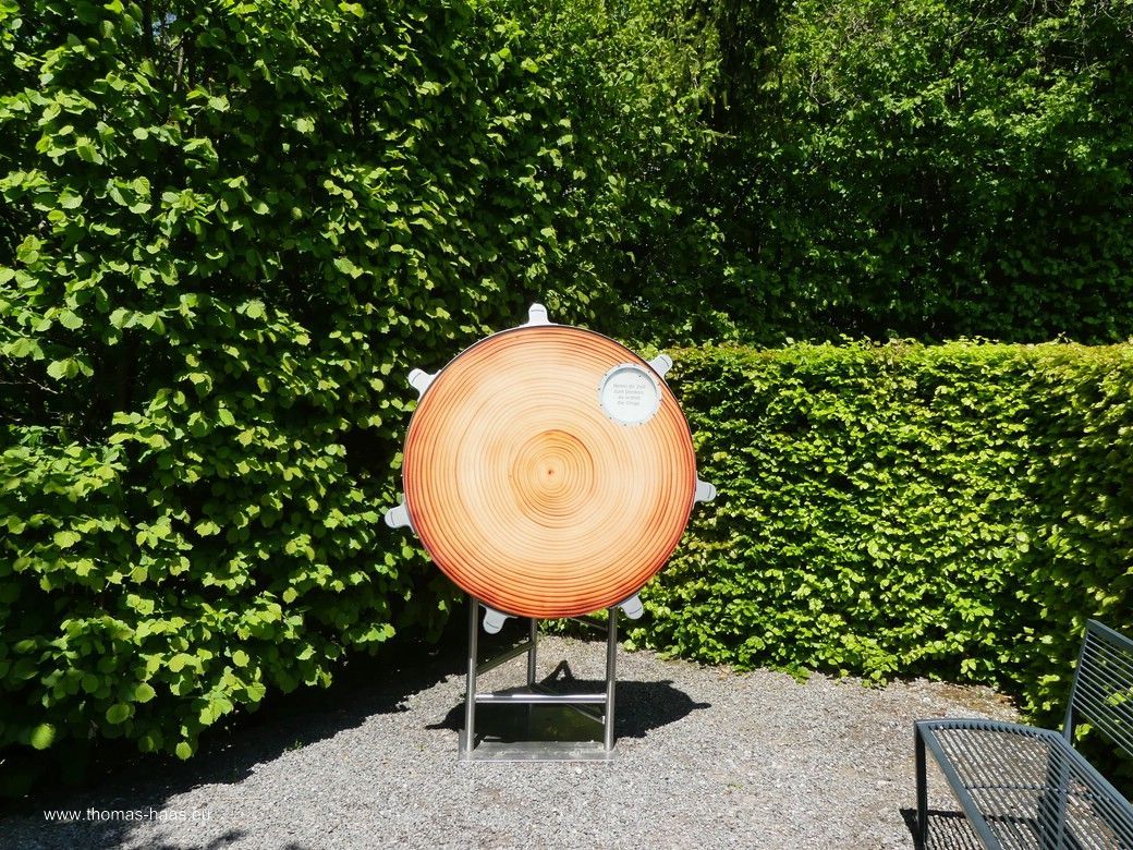 GE(h)ZEITEN - die Baumscheibe, Station 6 GE(h)ZEITEN - die Baumscheibe, Station 6