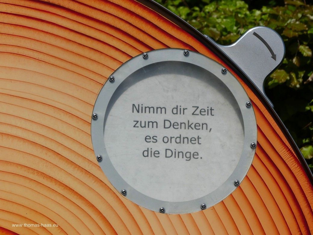 GE(h)ZEITEN - die Baumscheibe, Station 6 GE(h)ZEITEN - die Baumscheibe, Station 6