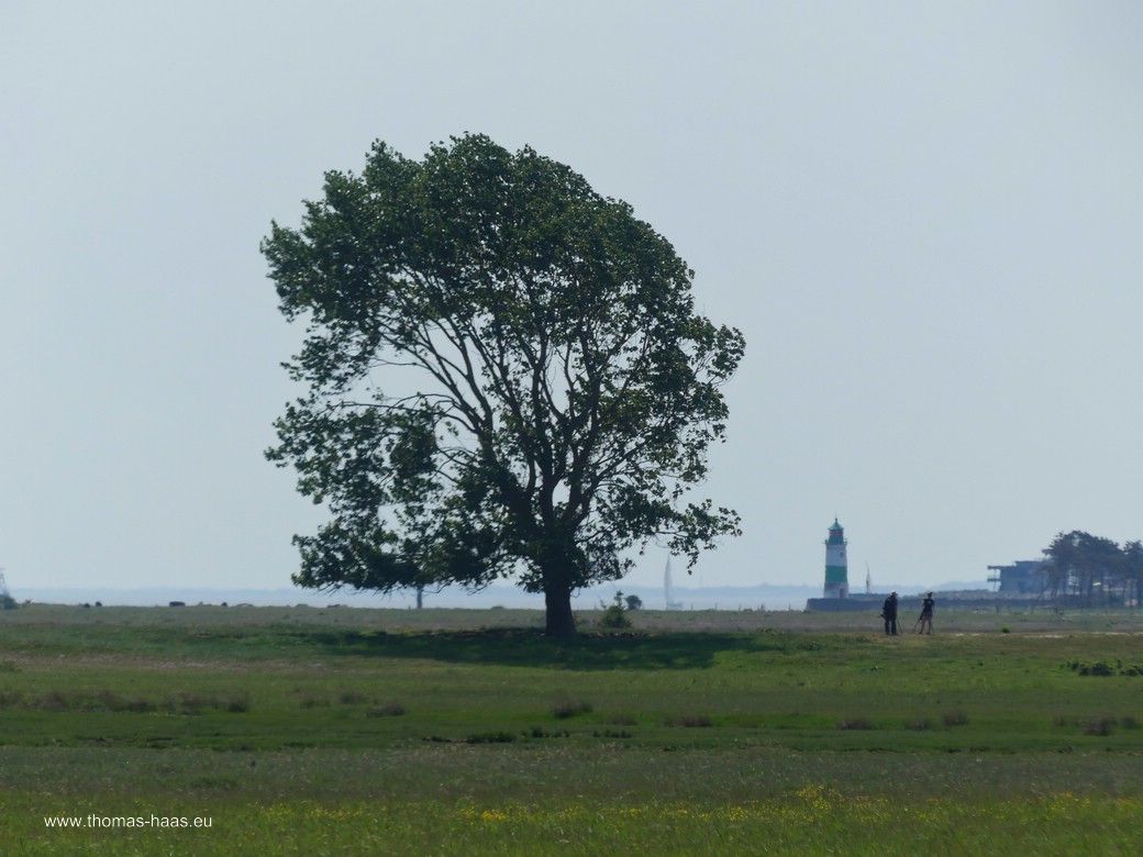 Der Blick auf Schleimünde, der Leuchtturm von der „Rückseite“... Der Blick auf Schleimünde, der Leuchtturm von der „Rückseite“...
