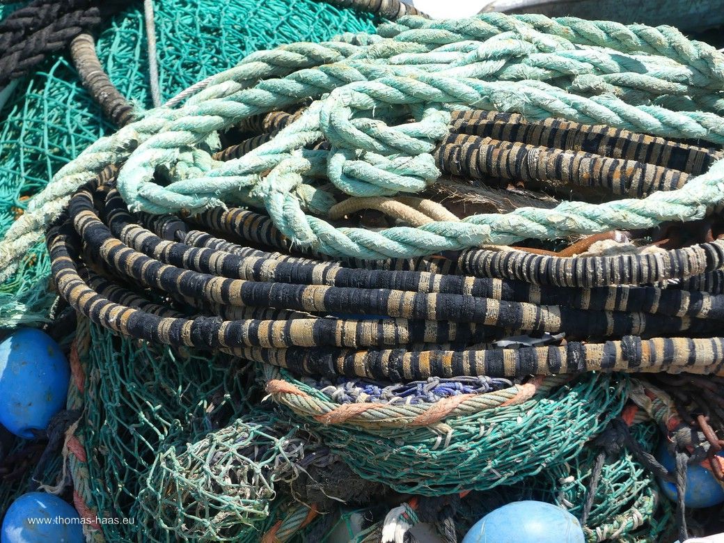 Maasholm, der Fischereihafen... Maasholm, der Fischereihafen...
