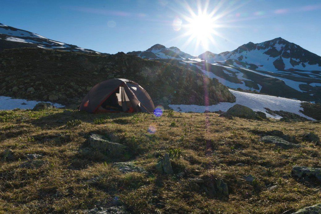 ...unser Zelt in der Morgensonne! Juli 2020 ...unser Zelt in der Morgensonne!