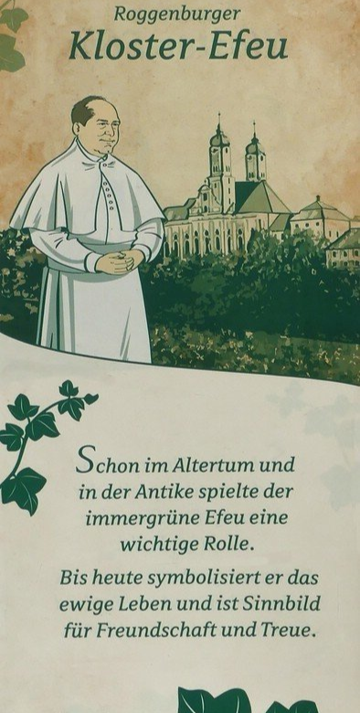 Klosterefeu-Plakat bei Dehner!