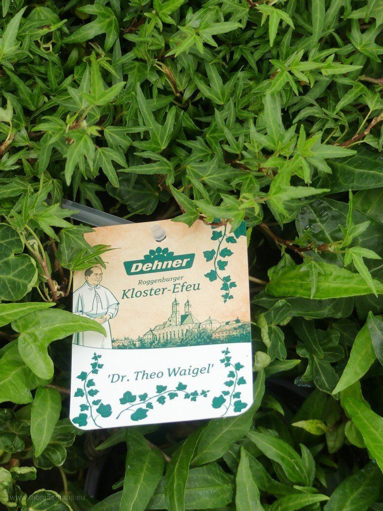 Der große Nemensgeber, Dr. Theo Waigel, Der große Namen...