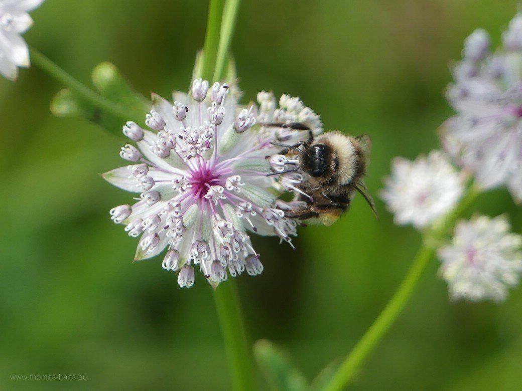 ...ach Sommer, bleib doch noch ein bisschen! ...ach Sommer, bleib doch noch ein bisschen!