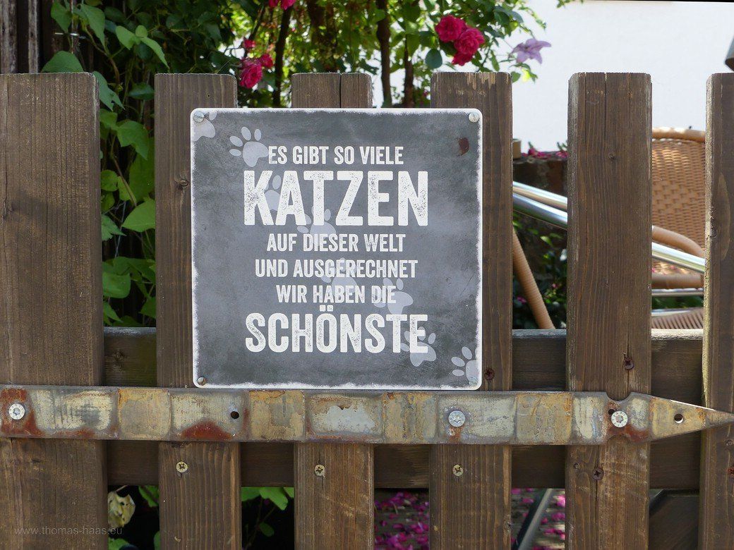 Gartentüre, Seelengraben... Gartentüre, Seelengraben...