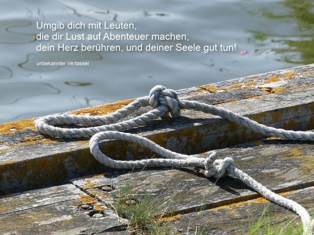Leinen los! ein kleiner Anleger mit einem Zitat eines mir unbekannten Verfassers, Juli 2021 Leinen los! ein kleiner Anleger mit einem Zitat eines mir unbekannten Verfassers, Juli 2021