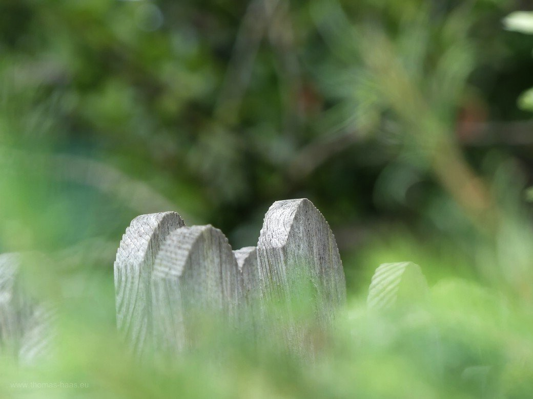 Stilles Gartenzaunmotiv, Kappel, 2021 Stilles Gartenzaunmotiv, Kappel, 2021