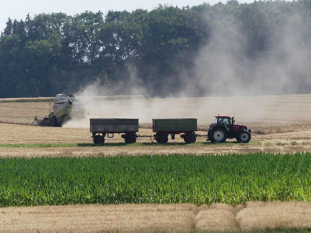 Mein Bild der Ernte 2021 - hochbetrieb vor den angekündigten Unwettern, Juli 2021 Mein Bild der Ernte 2021 - hochbetrieb vor den angekündigten Unwettern, Juli 2021