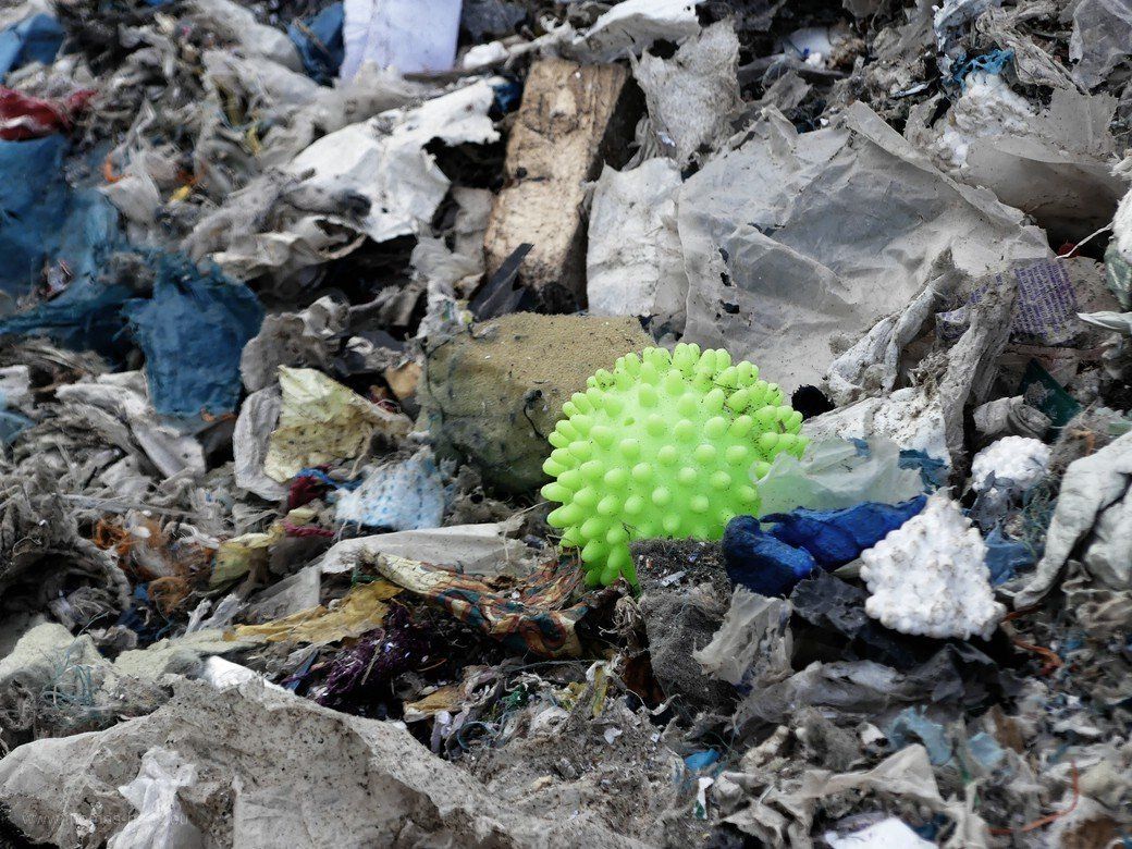 Das Virus im Müll... 2022 Das Virus im Müll... 2022