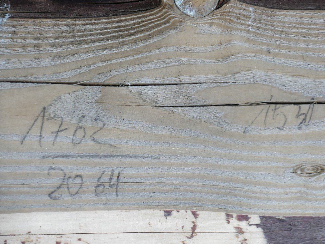 Ein Vierkant aus Douglasie, Kappeln 2022 Stammholz, Douglasie, 2022