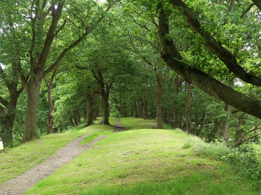 Die Halbring-Wallanlage um Haithabu, 2022 Die Wallanlage um Haithabu, 2022