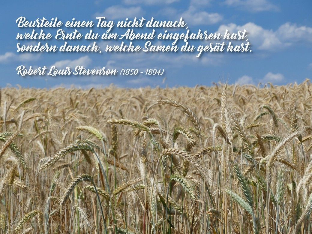 Motivationsbild für den September 2023 - Ein Getreidefeld mit einem Zitat von Robert Louis Stevenson Motivationsbild für den September 2023 - Ein Getreidefeld mit einem Zitat von Robert Louis Stevenson