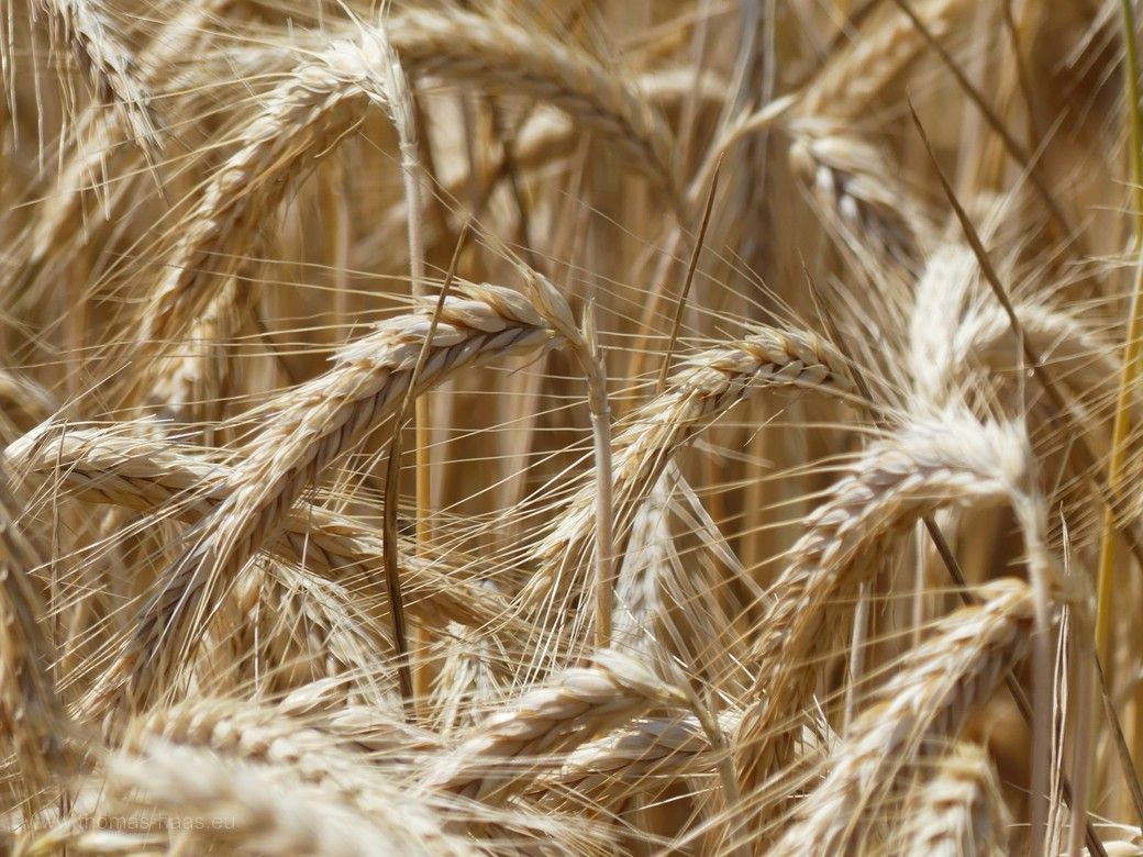 Geroldsauer Wasserfall im Mai 2023 Geroldsauer Wasserfall im Mai 2023