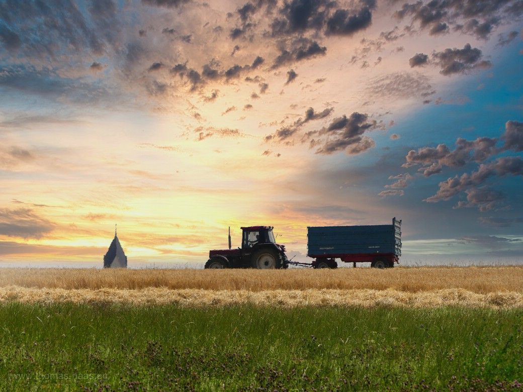 Traktor und Hänger warten schon - Ernte 2023 Traktor und Hänger warten schon - Ernte 2023