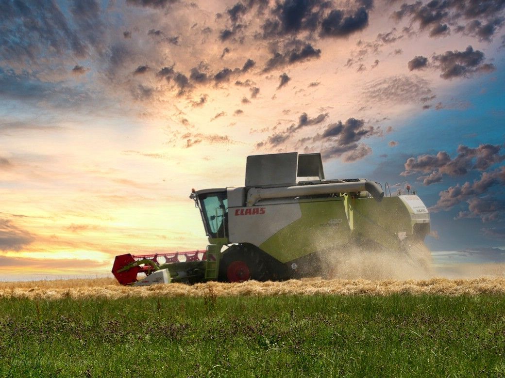 Mähdrescher auf der Alb, 2023 - Bearbeitung Mähdrescher bei der Arbeit, 2023